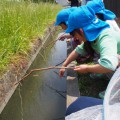 【ひまわり組】伊佐沼公園でザリガニをたっくさん釣ったよ！